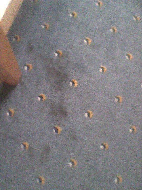 Teppichboden Hotel Gates