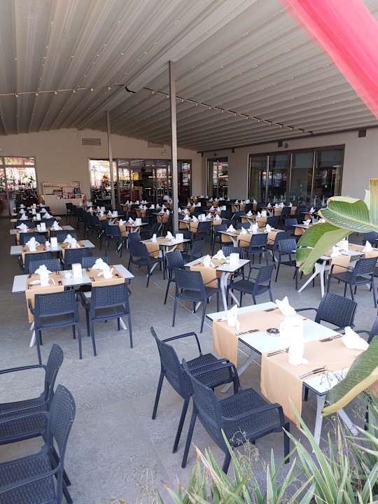 Gastro Seashell Vega