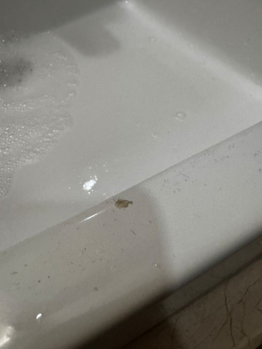 Zimmer Well Palace Side