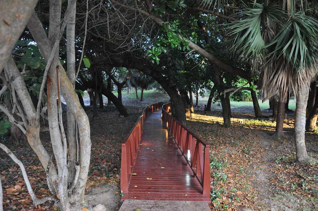 Weg zum Strand Iberostar Origin Taínos