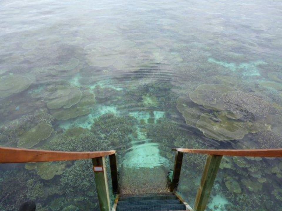 Steg Wasserbungalow Mirihi Island Resort