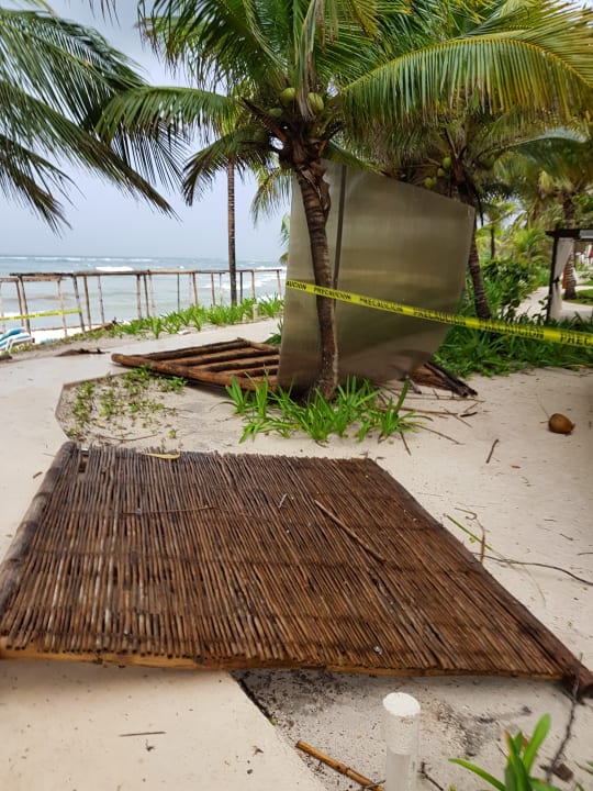 Gartenanlage Akumal Bay Beach & Wellness Resort