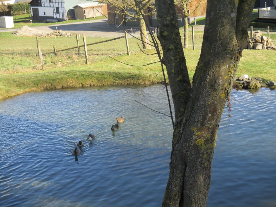 Garten Landhaus Schulte-Göbel ... das Kinderparadies