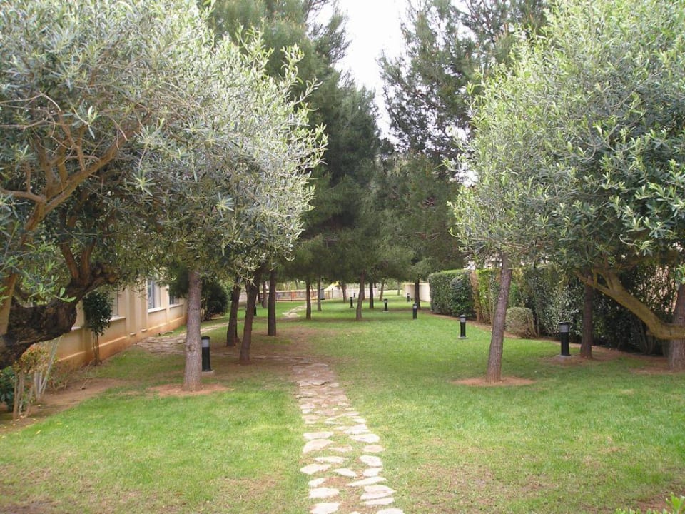 Gartenanlage Hotel HM Mar Blau