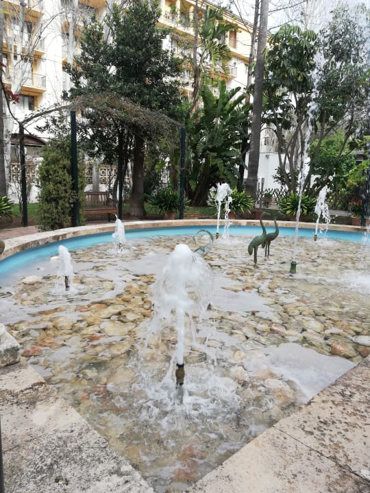 Gartenanlage Bahía de Alcúdia Hotel & Spa