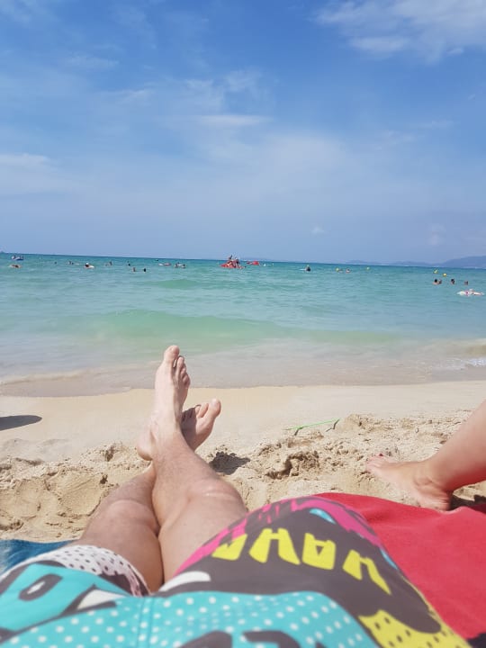 Strand HSM Son Veri - Adults Only