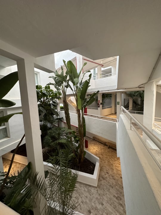 Lobby Barceló Portinatx - Adults only