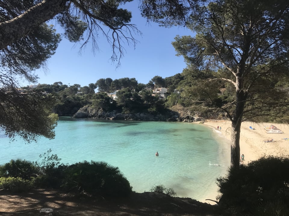 Strand Iberostar Waves Pinos Park