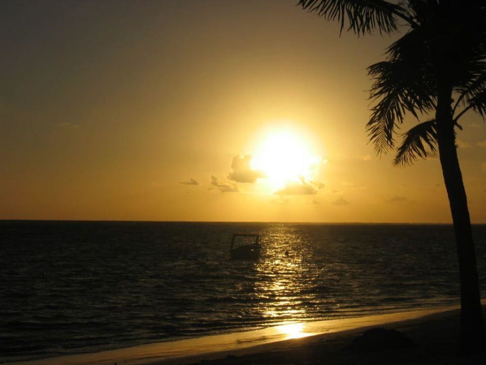 Sonnenaufgang ca 7.00 Uhr Catalonia Punta Cana - All Inclusive