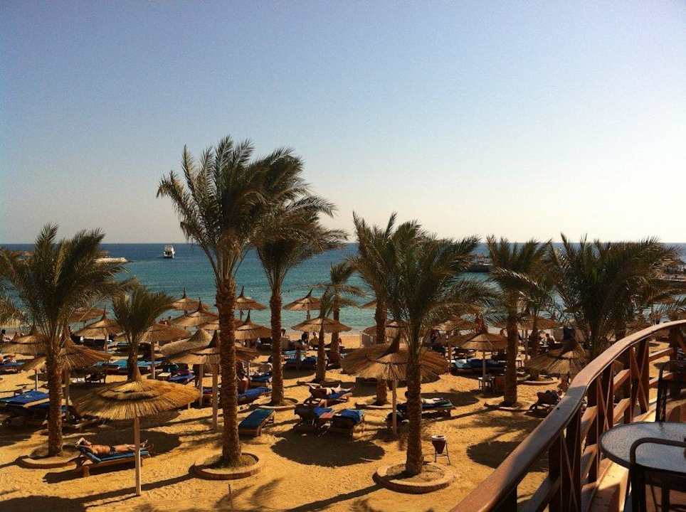 Blick von der Terrasse im 1. OG Beach Albatros Resort