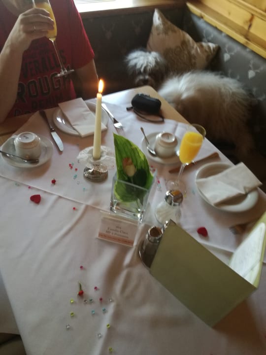 Gastro Hotel Central