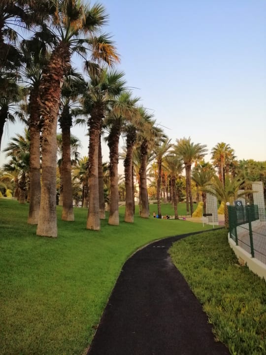 Gartenanlage Monachus Family Resort Sorgun