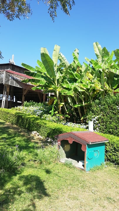Gartenanlage Hotel Terrace Beach Resort