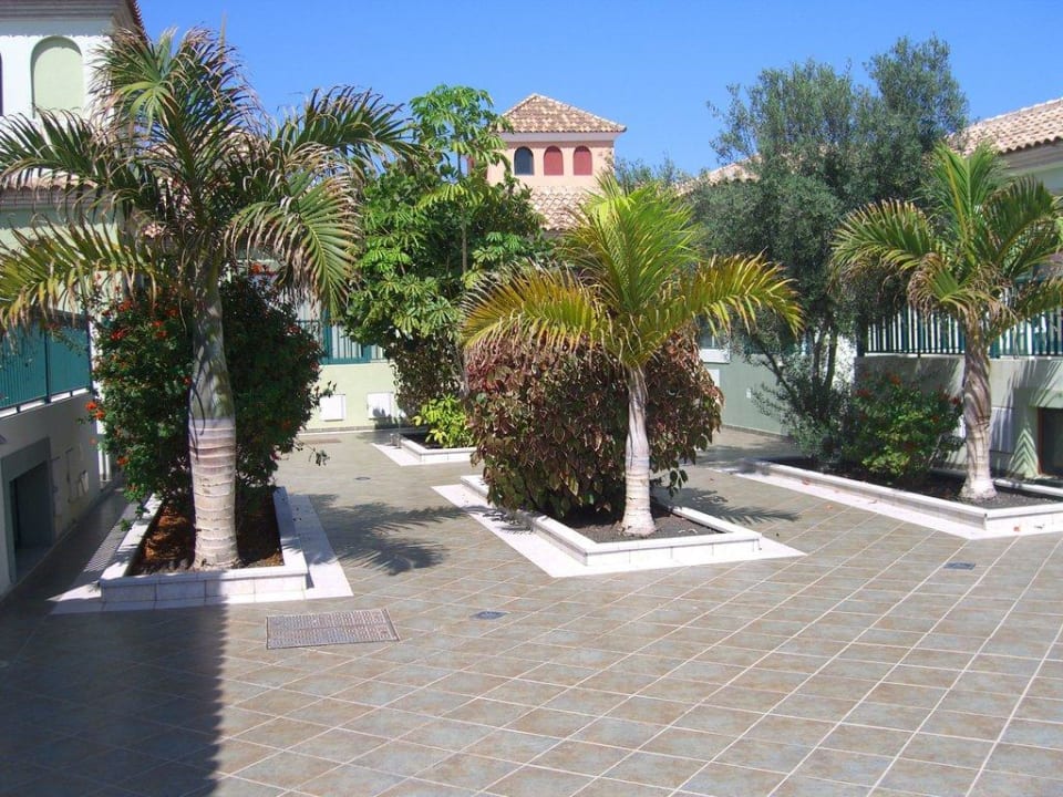 Schöne Gartenanlage O7 Aloe Corralejo
