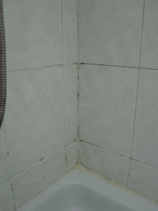 Schimmel Studios & Appartements Belvedere