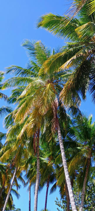 Strand Playabachata Hotel