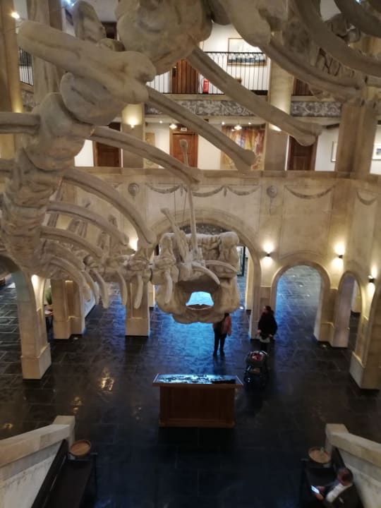 Lobby Hotel Kronasar - The Museum Hotel