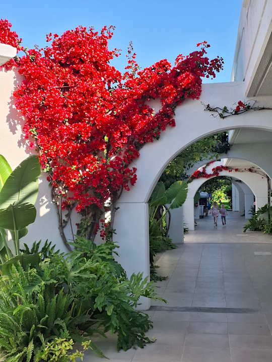 Gartenanlage TUI KIDS CLUB Alex Beach