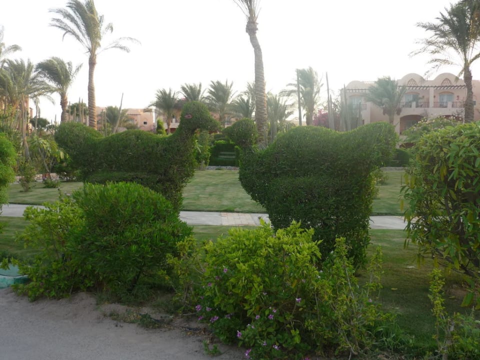 Edward war auch schon mal hier Jaz Makadi Oasis Resort