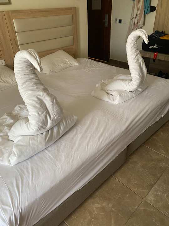 Zimmer Pickalbatros Aqua Blu Resort - Hurghada