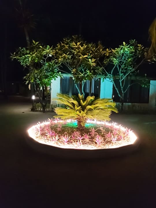 Gartenanlage Cinnamon Dhonveli Maldives