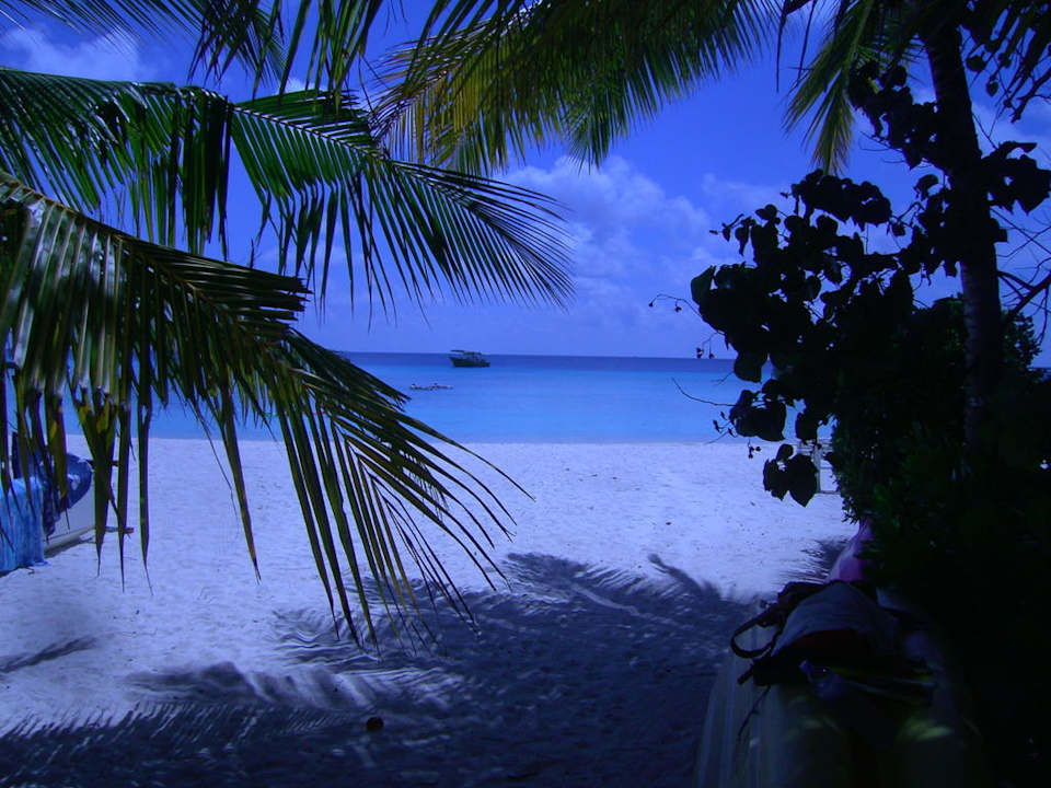 Meerblick Summer Island Maldives