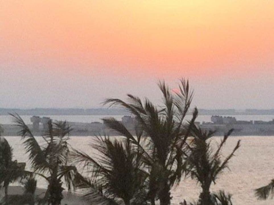 Sunset over the Palm JA Palm Tree Court