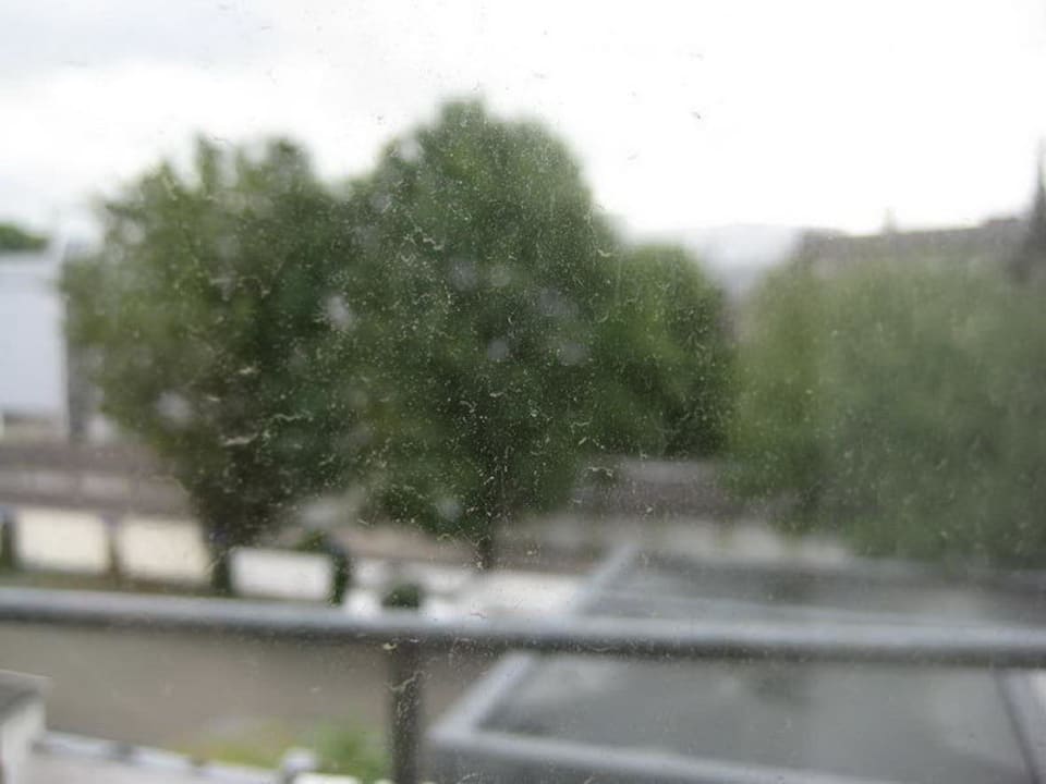 Blick aus dem Fenster Kaiser am Wiener Platz