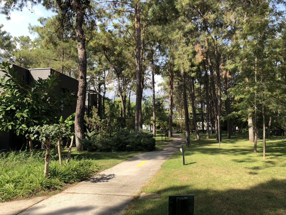 Gartenanlage Balmy Foresta