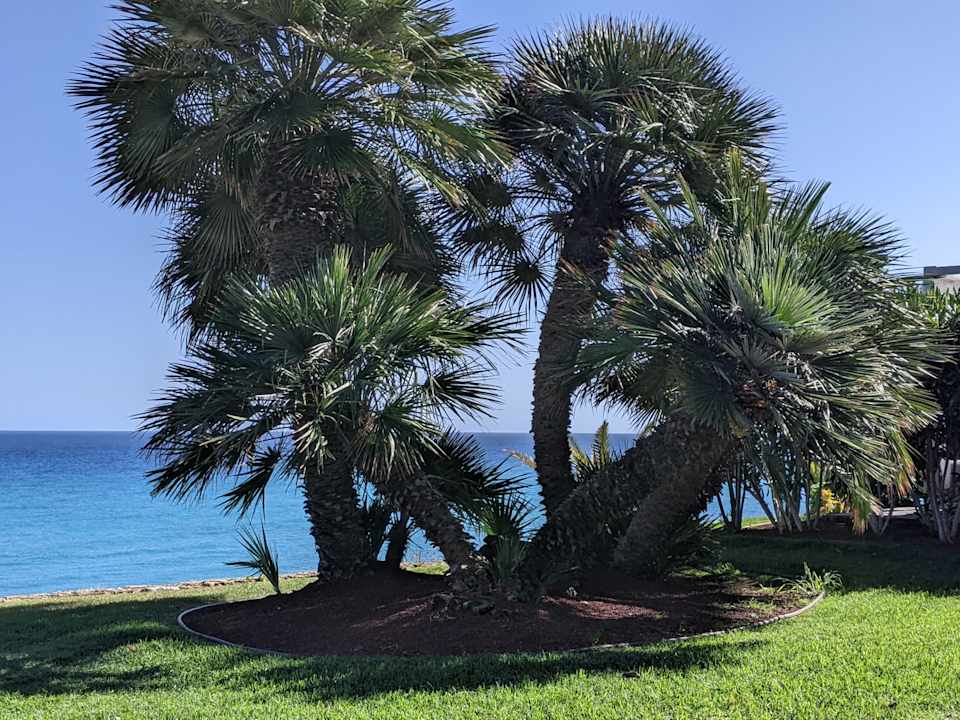 Gartenanlage R2 Pajara Beach
