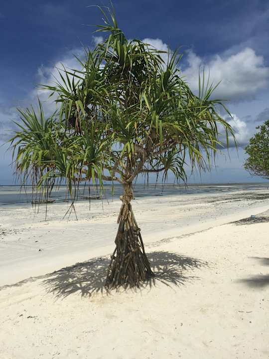 Strand Neptune Pwani Beach Resort & Spa