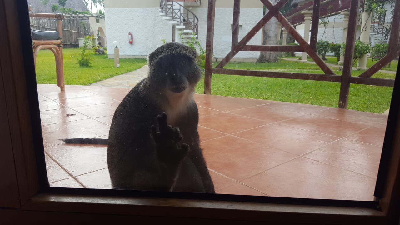 Vom Zimmer auf die Terrasse  Neptune Village Beach Resort & Spa