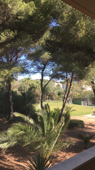 Gartenanlage R2 Lago Playa Park