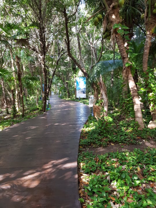 Gartenanlage TUI BLUE El Dorado Seaside Suites