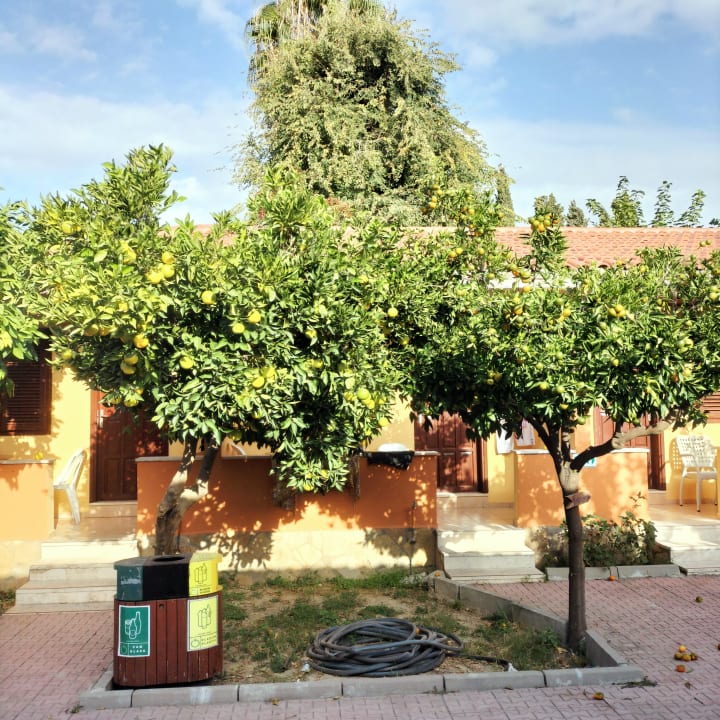 Gartenanlage Özlem Garden Hotel