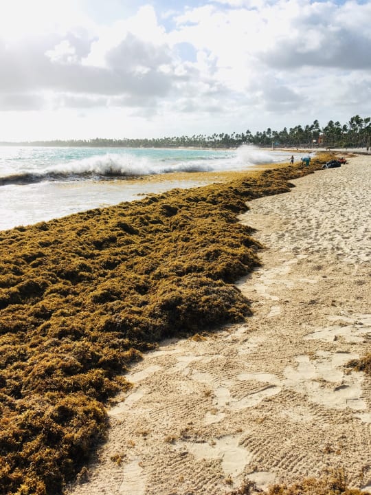 Strand Punta Cana Princess All Suites Resort & Spa