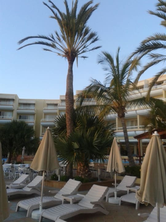 Auf dem Pool Hotel Riu Palace Jandia