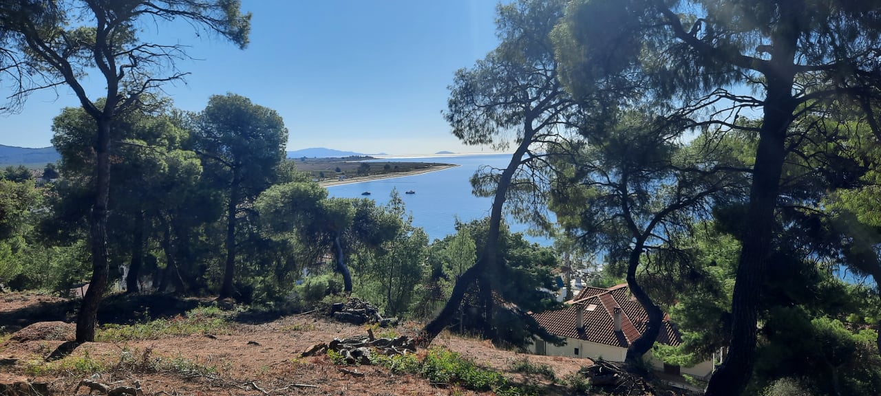 Ausblick Philoxenia Hotel