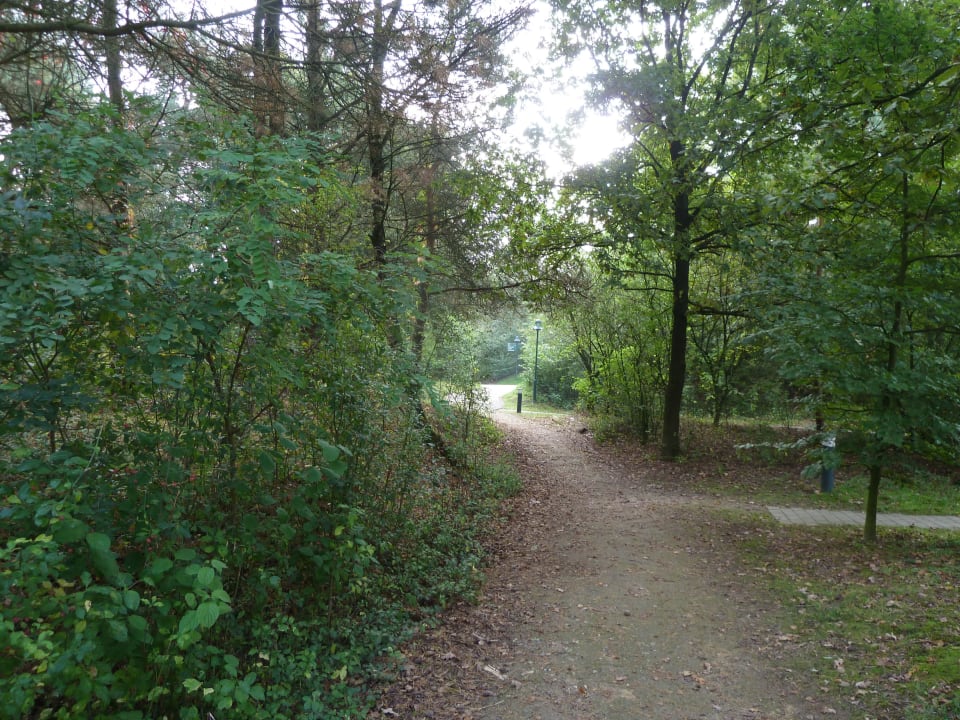 Anlage Center Parcs De Kempervennen