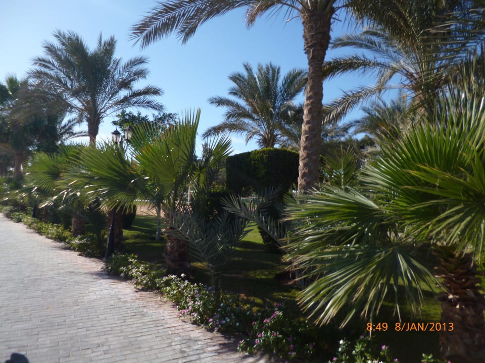 Graten Sultan Gardens Resort