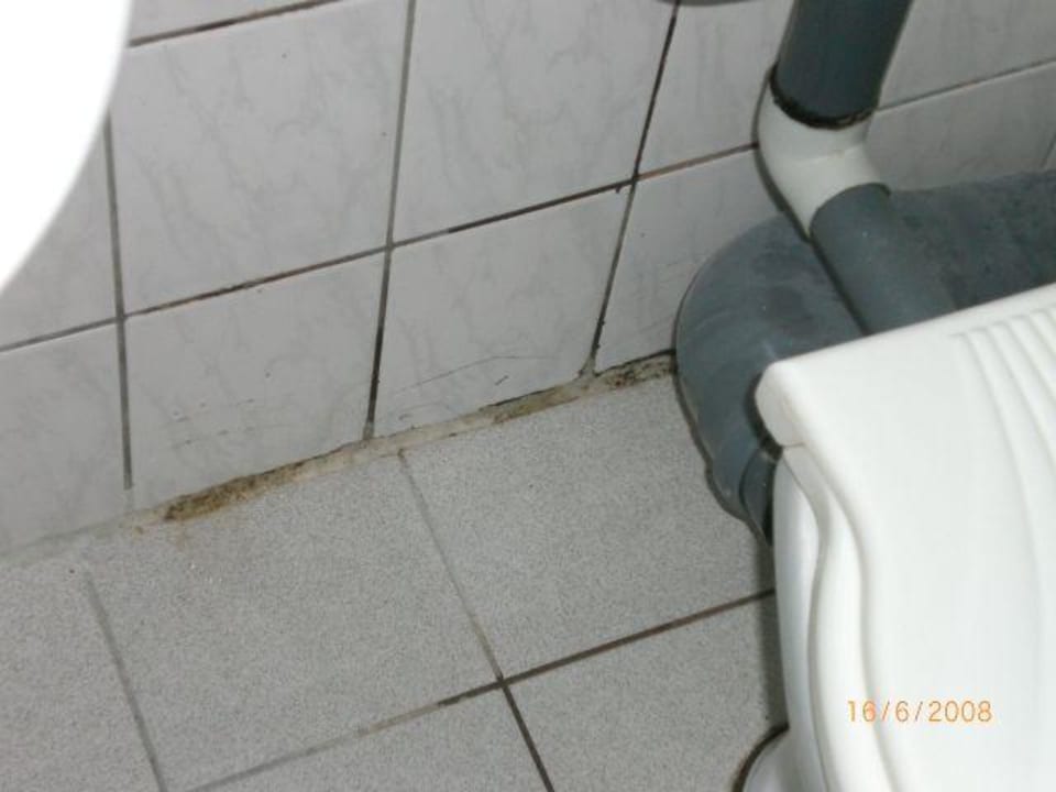 WC Hotel Glarus Beach