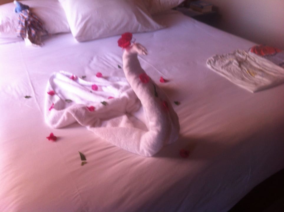 Gruß vom Roomservice Jaz Makadi Oasis Resort