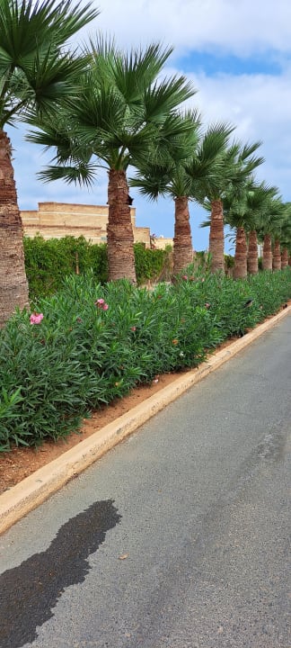 Gartenanlage Anissa Beach & Village