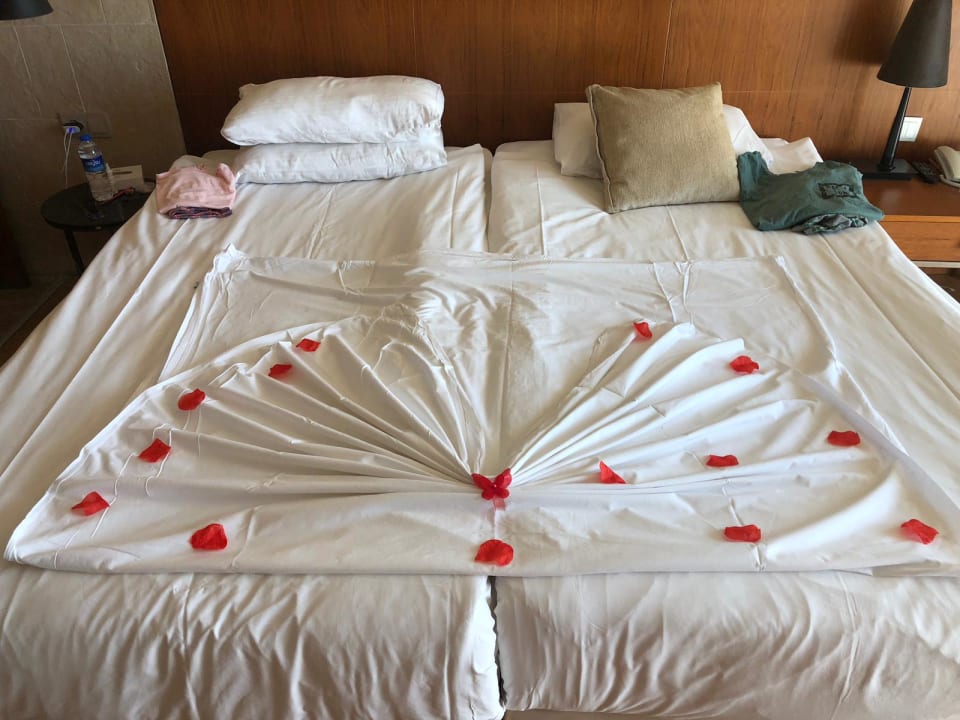 Zimmer Sherwood Blue Belek