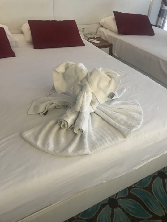 Zimmer Vikingen Infinity Resort & Spa