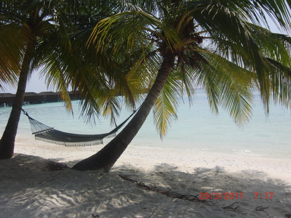 Schöner geht es nicht Meeru Maldives Resort Island
