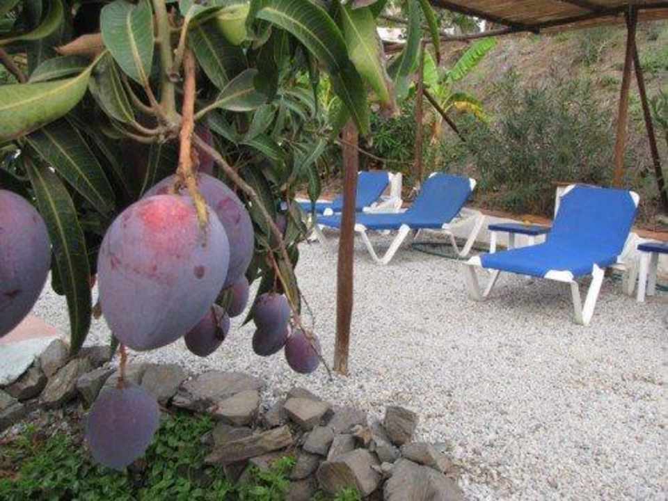 Hier kann man sich nur wohlfühlen Finca Huerta Tropical