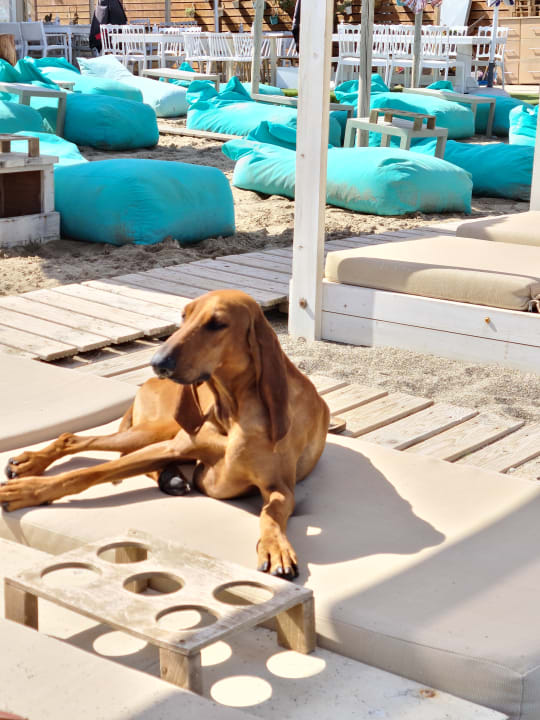 Strand Yianna Caravel By Checkin