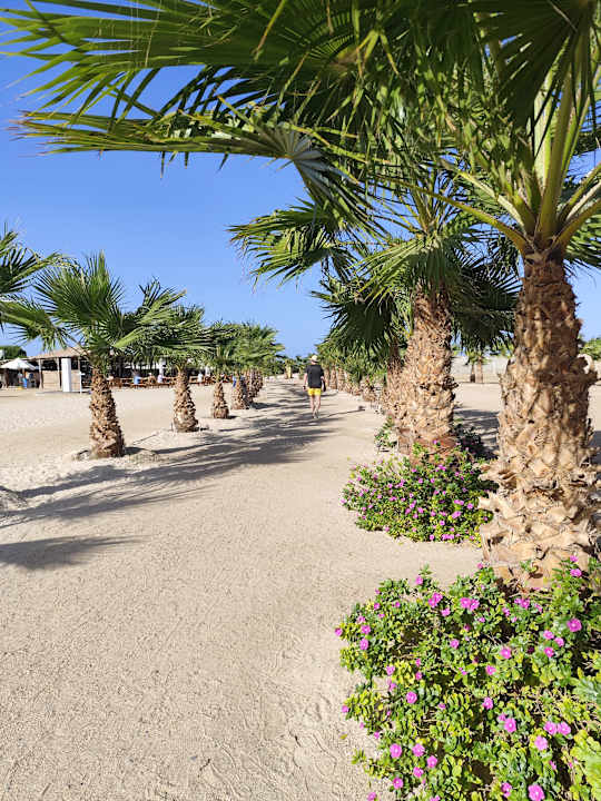 Strand Hilton Marsa Alam Nubian Resort