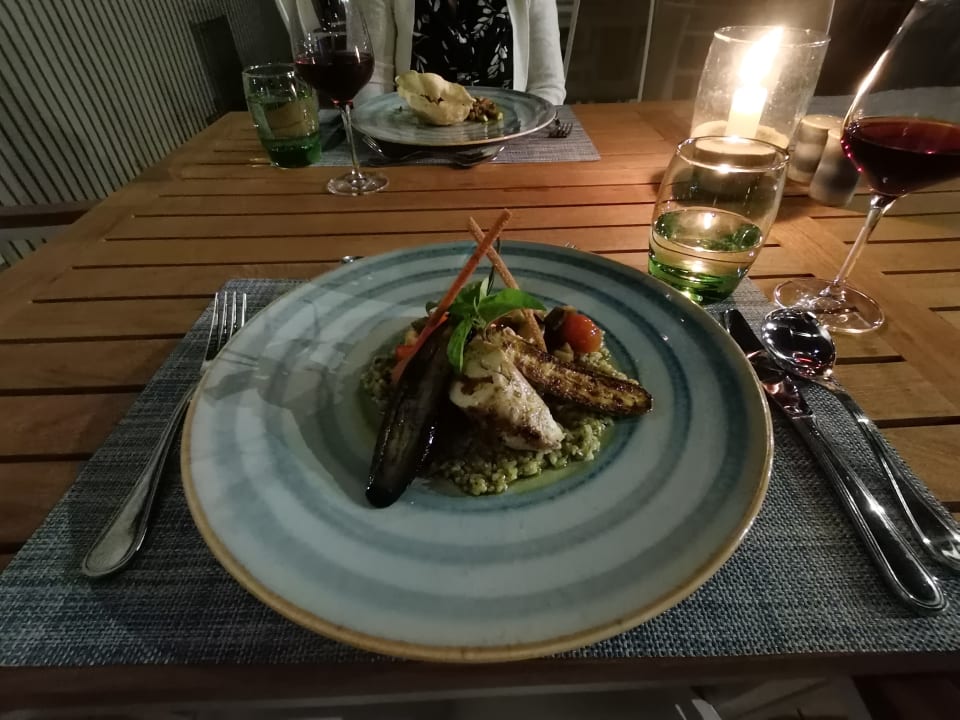 Gastro JAZ Elite Amara